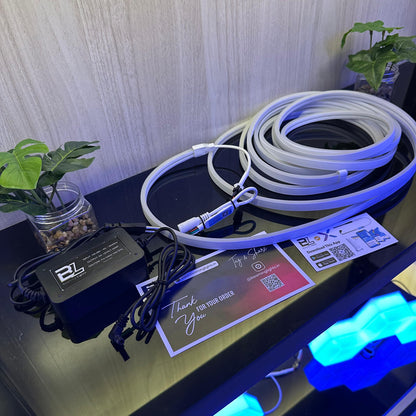 RGBic Neon Flex