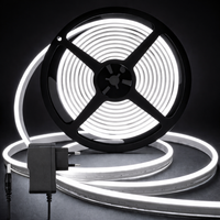 Neon Glow Rope Light - White (5 Meter) With 12v Adaptor