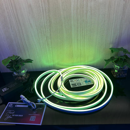 RGBic Neon Flex