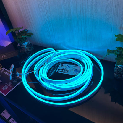 RGBic Neon Flex