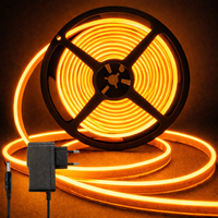 Neon Glow Rope Light - Orange (5 Meter) With 12v Adaptor