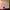 Glow Lines –  MAX 24 (New Launch)