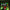 Glow Matrix Combo - 15 Glow Lines & 22 Clear Shape Triangles