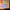 Glow Lines –  MAX 24 (New Launch)