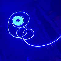 Neon Glow Rope Light - Blue (5 Meter)