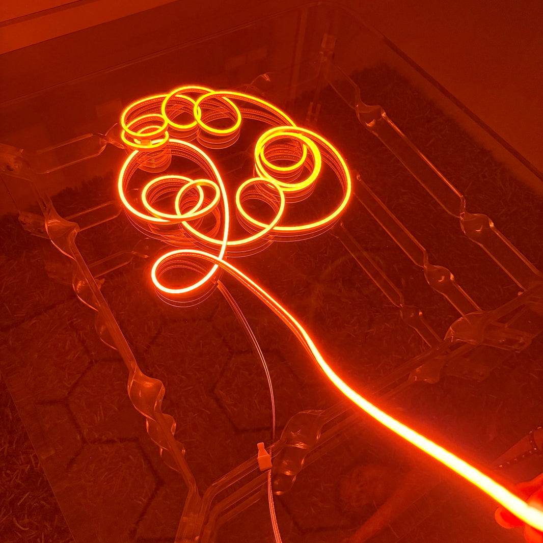 Neon Glow Rope Light - Orange (5 Meter)