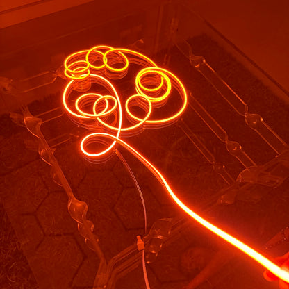 Neon Glow Rope Light - Orange (5 Meter)
