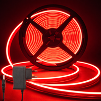 Neon Glow Rope Light - Red (5 Meter) With 12v Adaptor